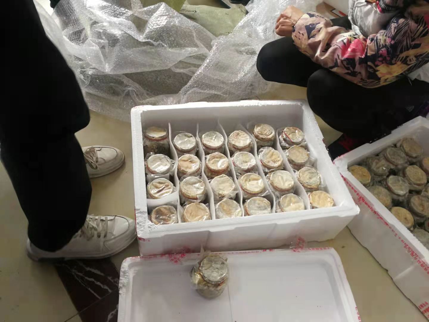 成都航空貨運公司是什么